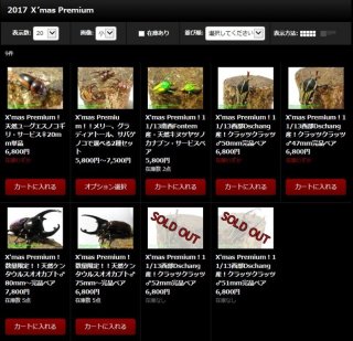 〇X'mas Premium！開催中＼(^o^)／