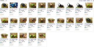 〇ヤフオク！セール品も追加出品完了＼(^o^)／