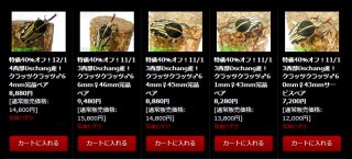 〇週末恒例ポイント5倍＼(^o^)／