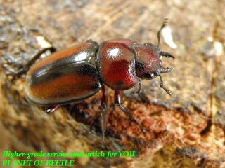 〇プラネットとユーグエス＼(^o^)／