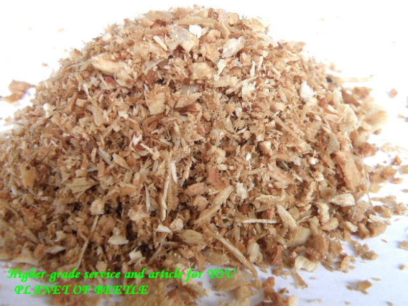 画像1: 成虫管理用針葉樹マット10リットル袋 (1)