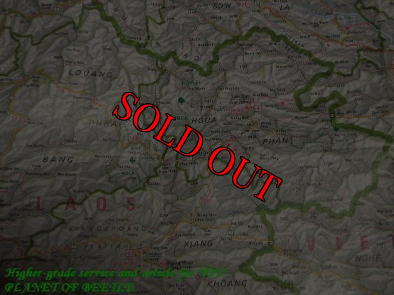 画像2: 8月新着ラオス！激レア・ロブスタスコブサイカブト完品ペア (2)