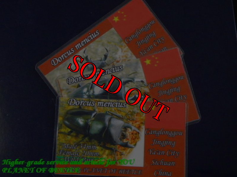 カード付きです。