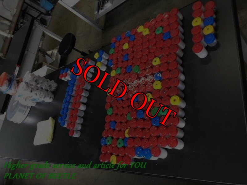 11月19日検疫検査中のものです。