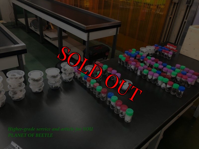 1月21日検査中のものです。