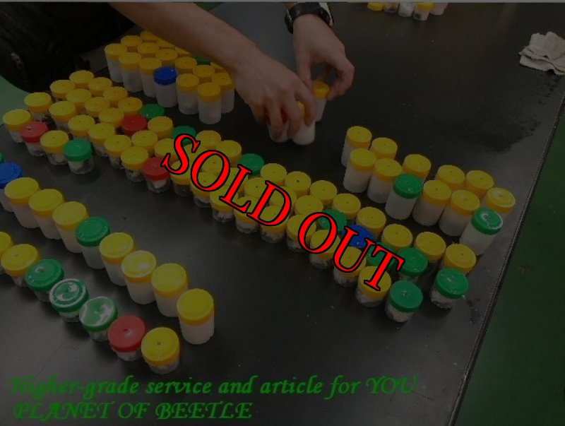 6月29日検査中のものです。