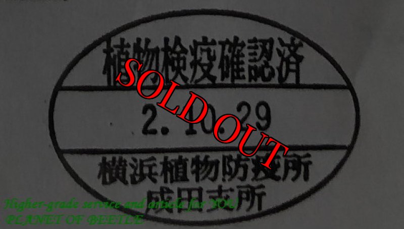 悪用禁止!