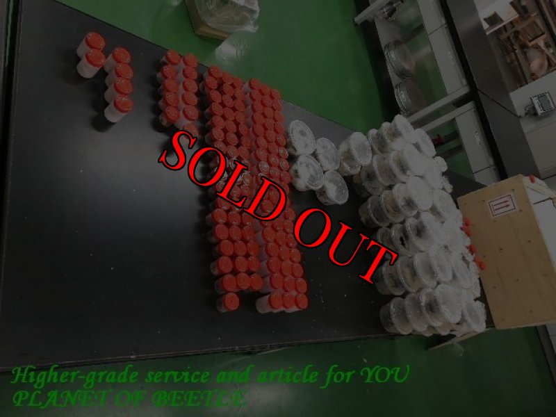 10月29日検査中のものです。