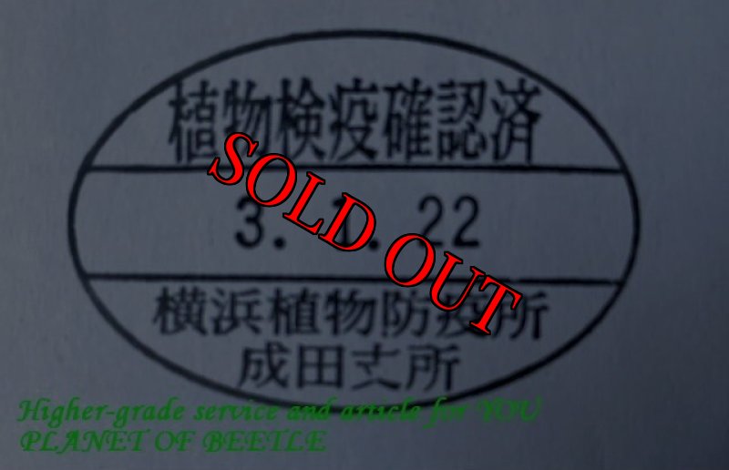 悪用禁止!