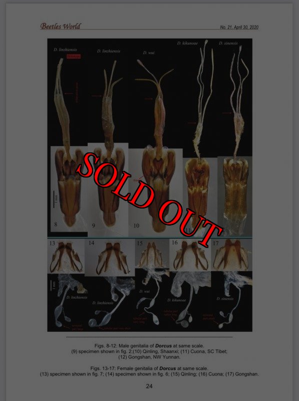 出典：BeetlesWorld No21