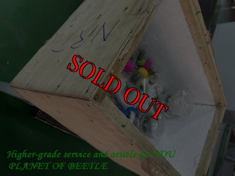 12月2日検疫検査の画像です。