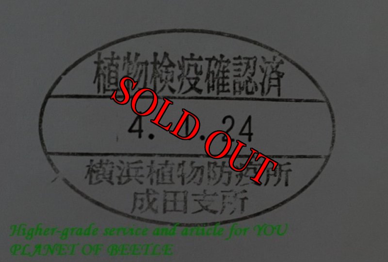 悪用禁止!