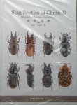 Stag beetle of China III