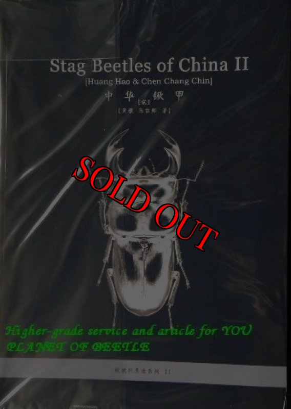Stag beetle of China II