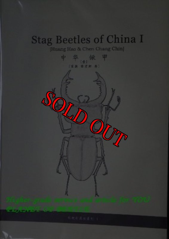 Stag beetle of China I