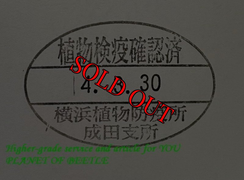 悪用禁止!