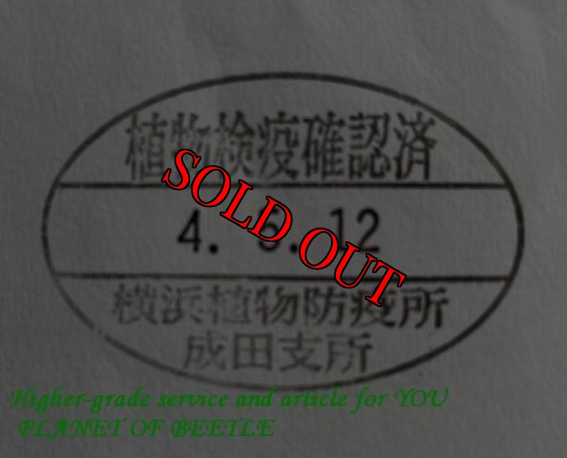 悪用禁止!