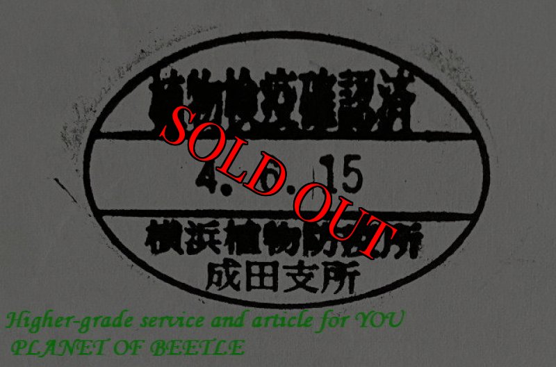 悪用禁止!