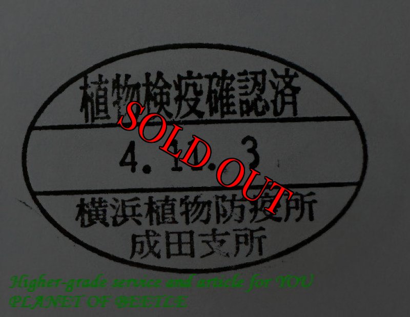 悪用禁止!!
