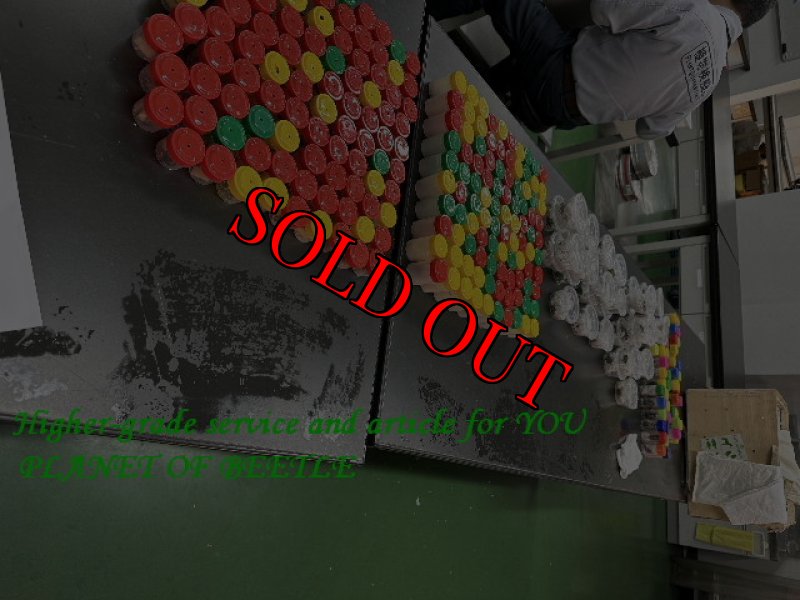 11月17日検疫検査の画像です。