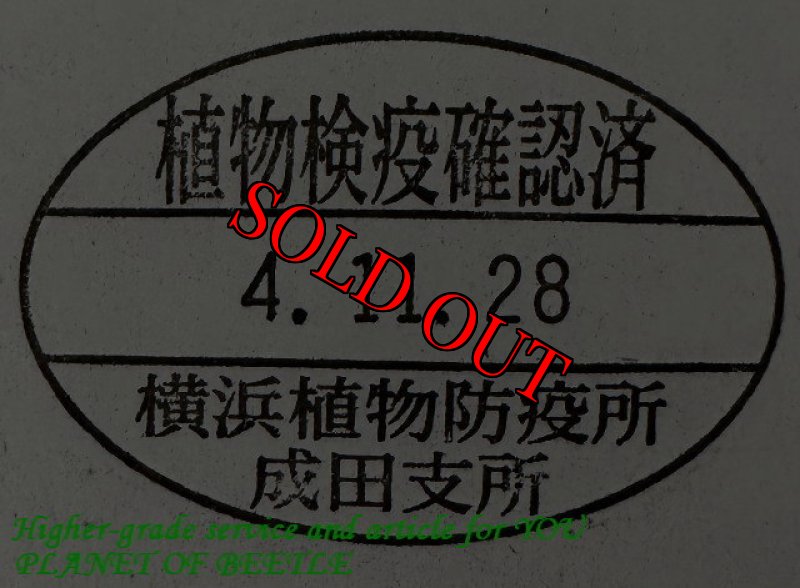 悪用禁止!