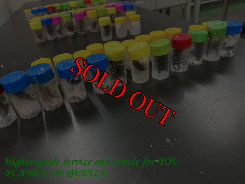 1月9日検疫検査の画像です。