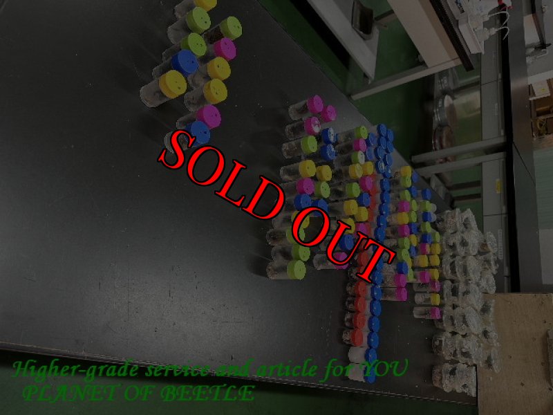 3月30日検疫検査の画像です。