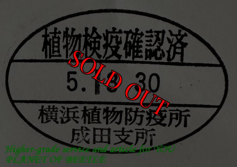悪用禁止!