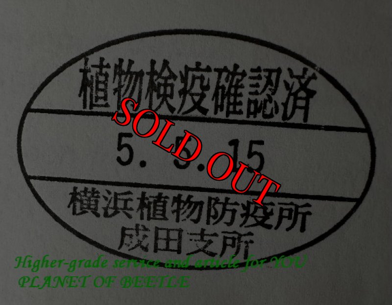 悪用禁止!