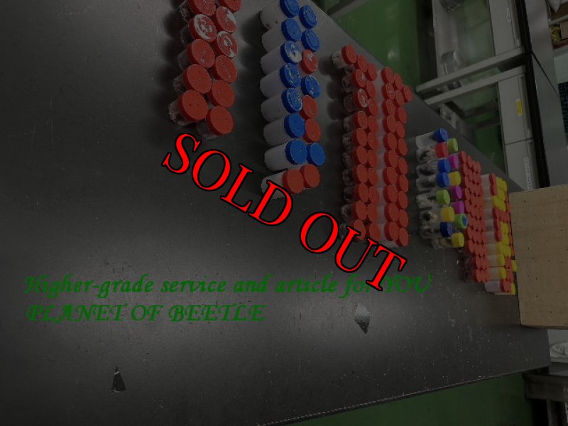 5月29日検疫検査の画像です