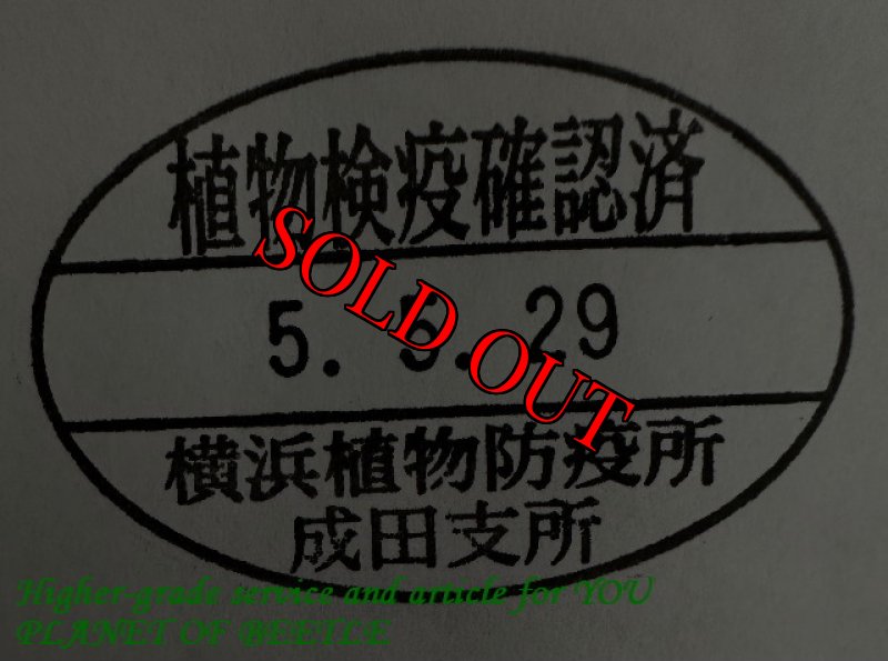 悪用禁止!