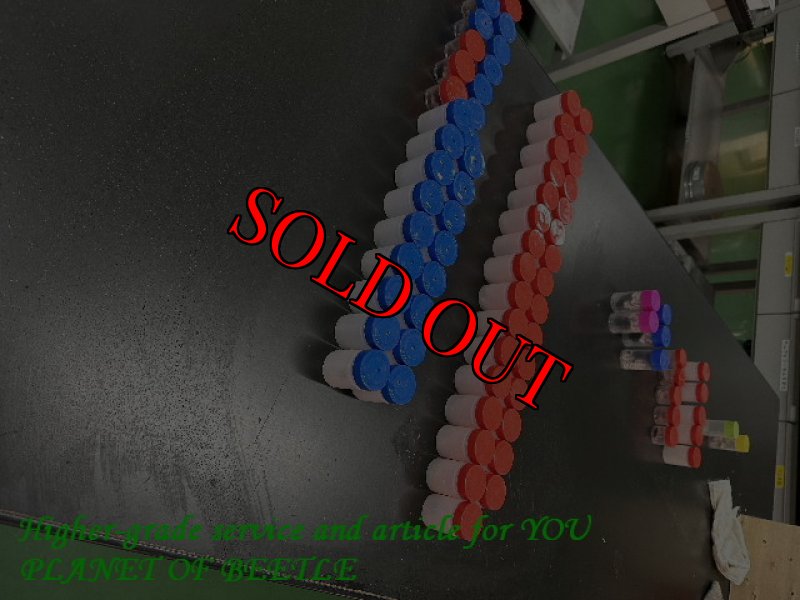 6月26日検疫検査の画像です。