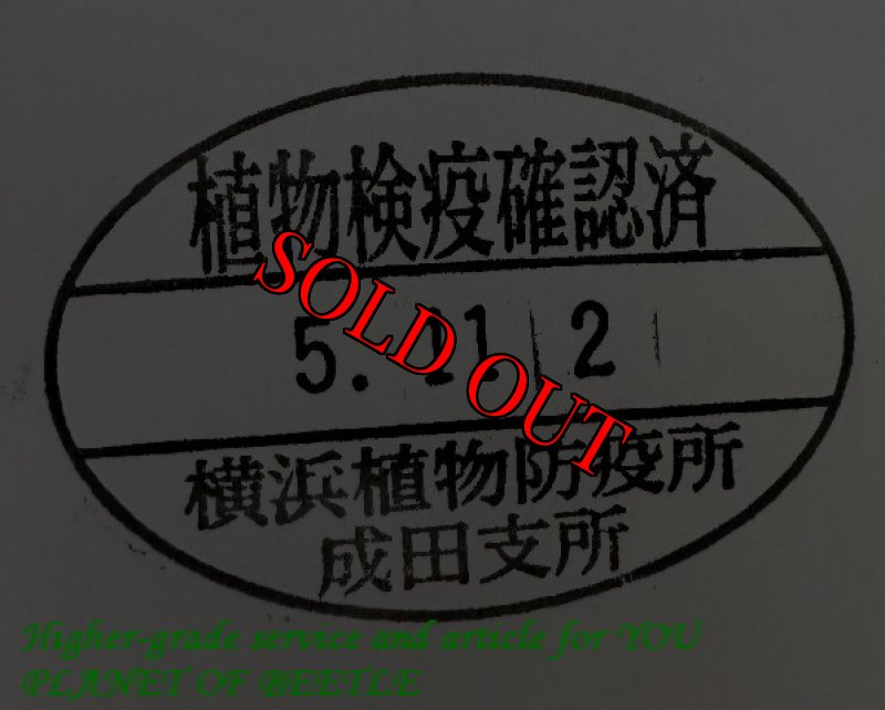 悪用禁止!