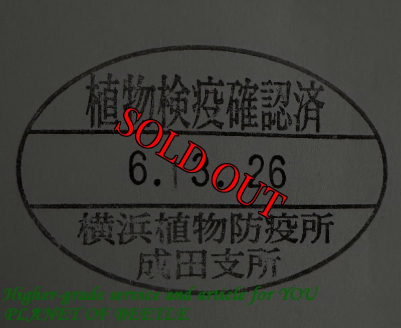 悪用禁止!