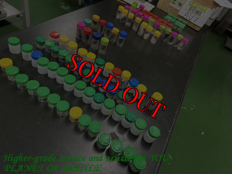 4月23日検疫検査のものです。