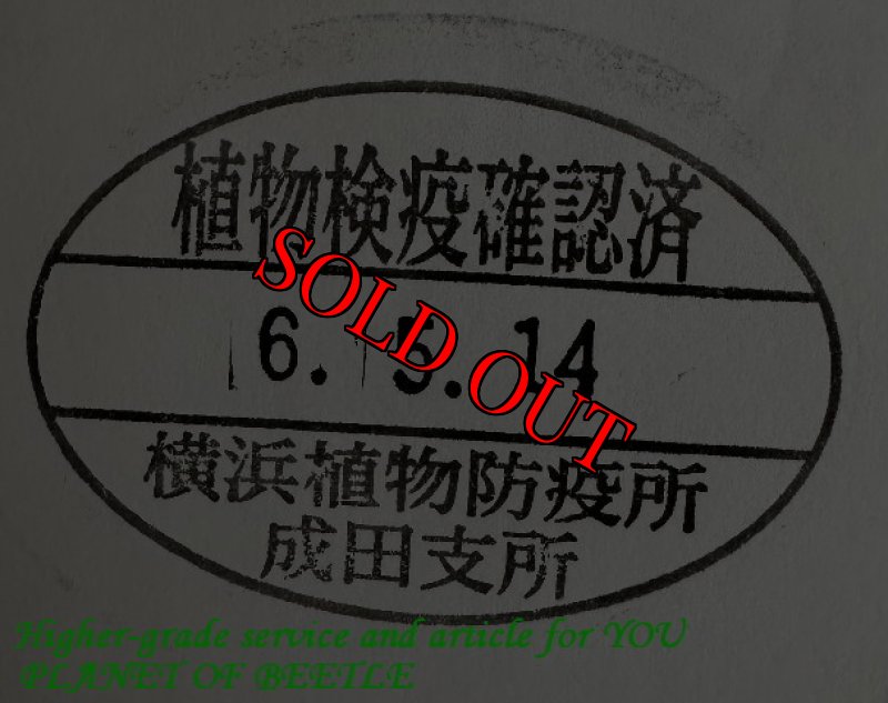 悪用禁止!