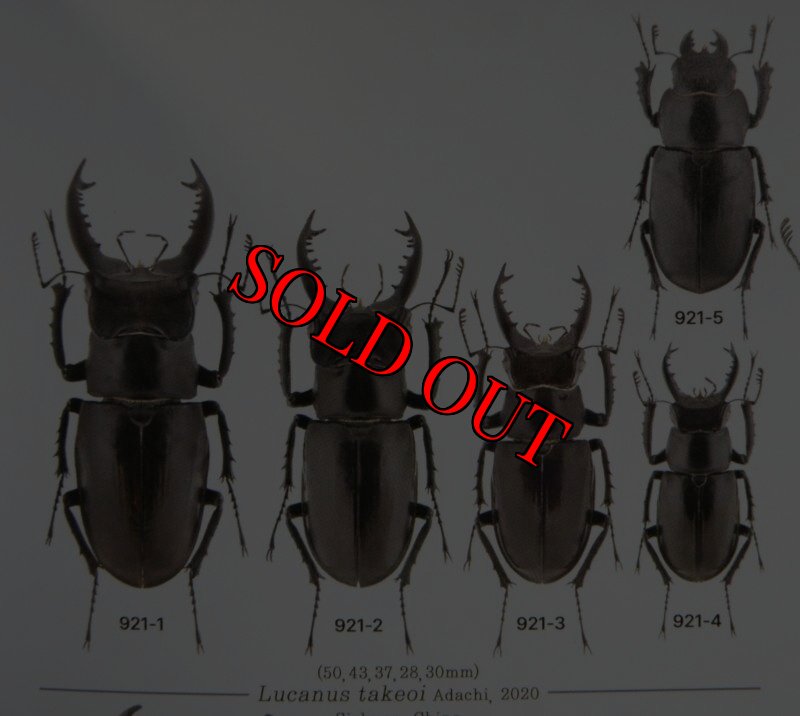 出典:LUCANIDAE OF THW WORLD