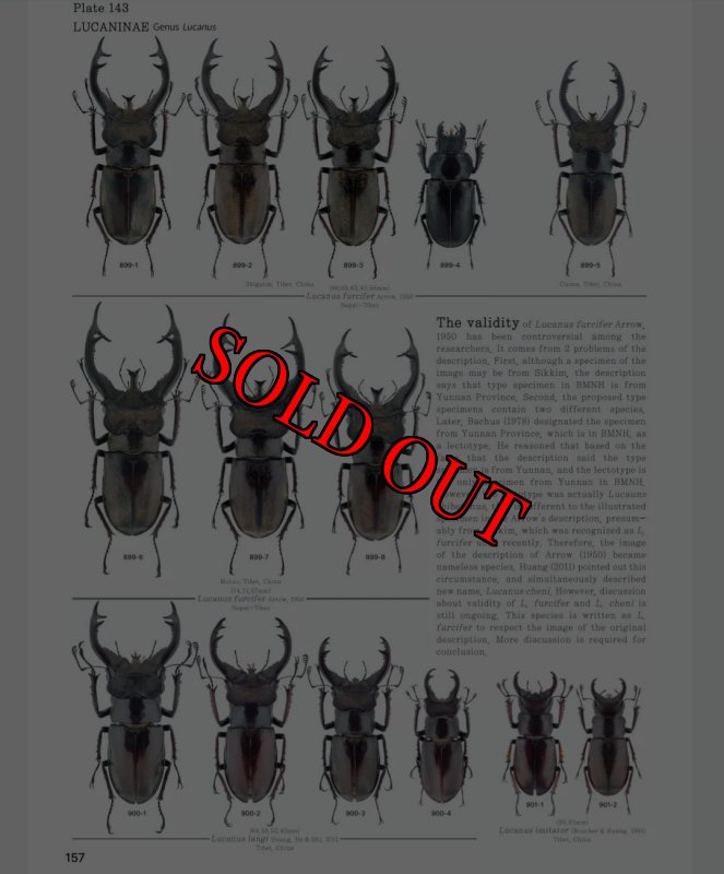 出典:LUCANIDAE OF THW WORLD
