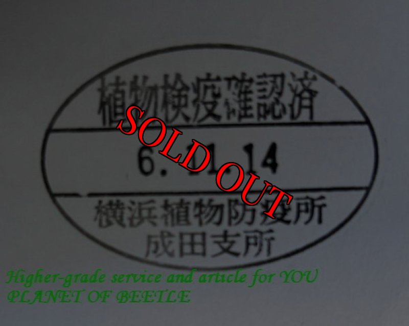悪用禁止!