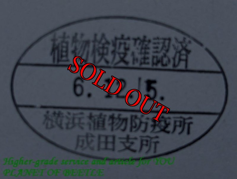 悪用禁止!