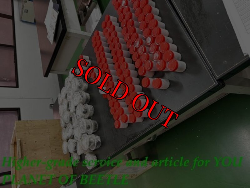 5月1日検疫検査の画像です。