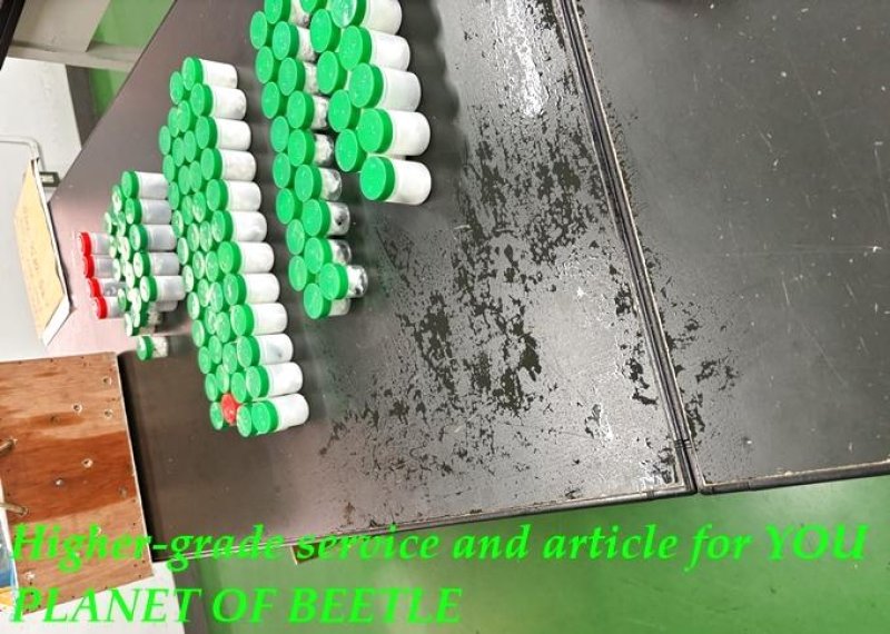 5月22日検疫検査の画像です。