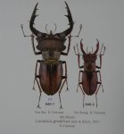 出典：LUCANIDAE OF THE WORLD