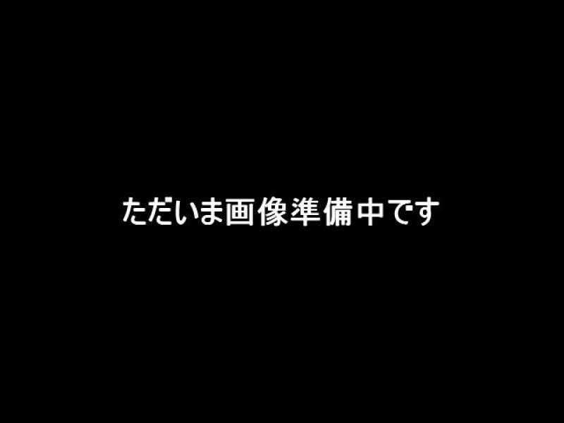 画像1: 完熟発酵マット(微粒子) (1)