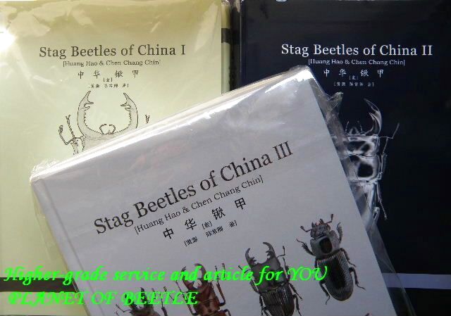 〇SBOCⅠ、Ⅱ、Ⅲ＋週末はポイント5倍＼(^o^)／