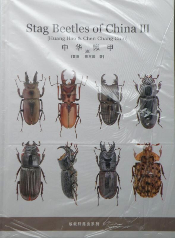 〇残少！Stag beetle of China＼(^o^)／
